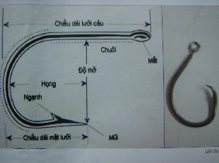 Lưỡi Câu Cá Ngừ Đại Dương