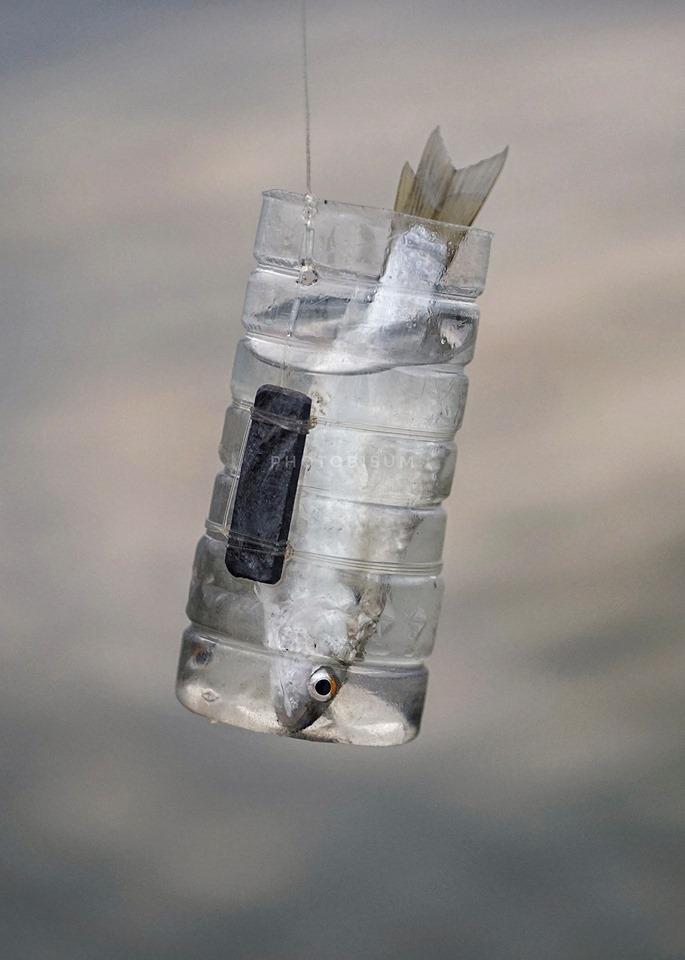 Cách Câu Cá Bằng Chai Nhựa