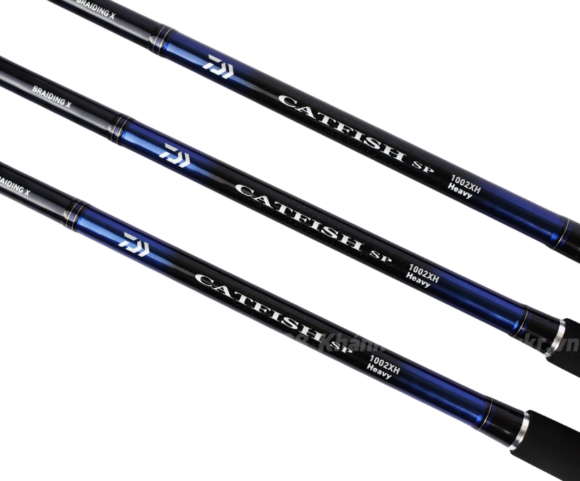 Cần 2 Khúc Daiwa CATFISH SP 1002XH