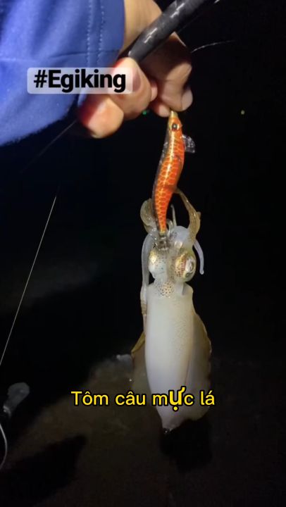 Mồi Giả Câu Mực Của Nhật Bản