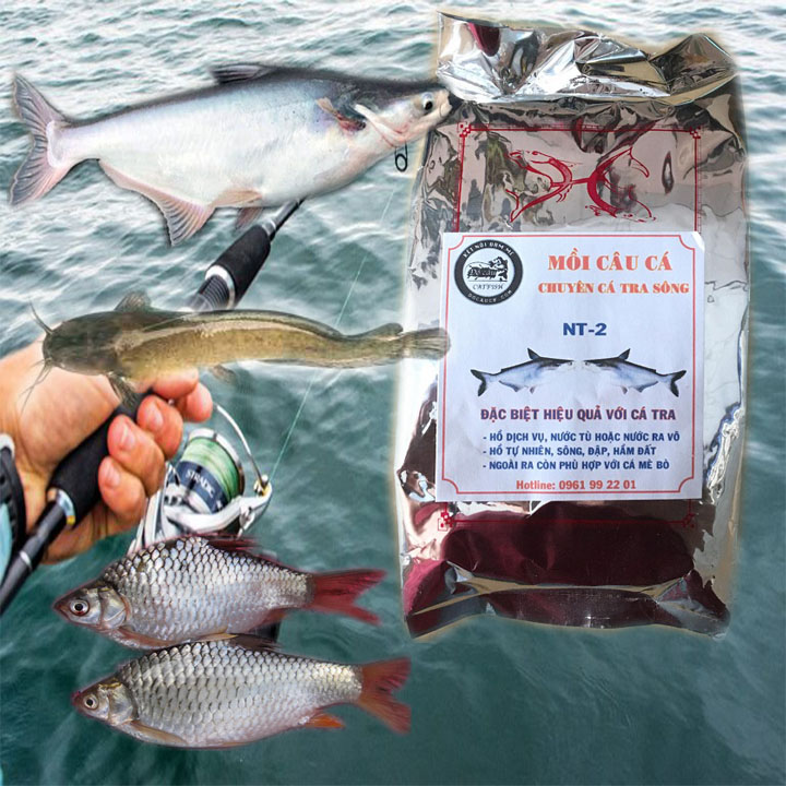 Cách Làm Mồi Câu Cá Sông Hiệu Quả