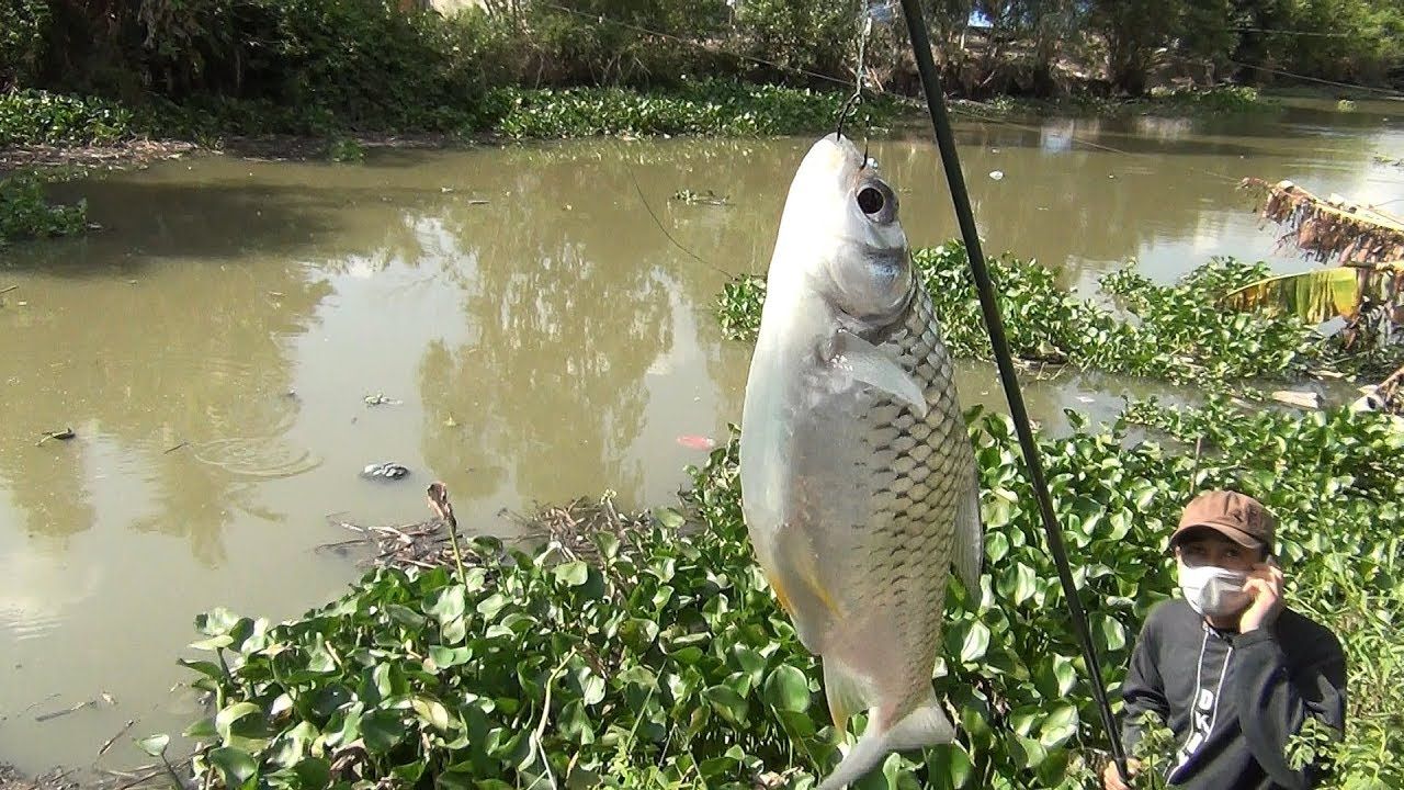 Câu Cá Giải Trí Cần Thơ