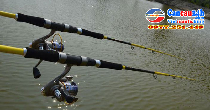 Cần Câu Cá Biển