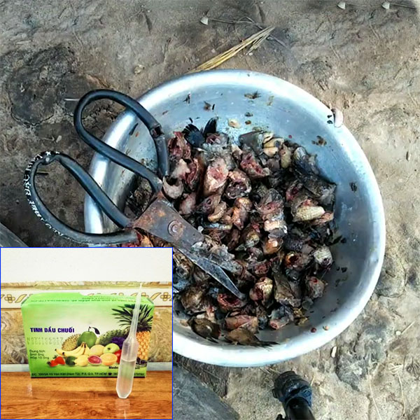 CÁCH LÀM MỒI CẮM CÂU ẾCH