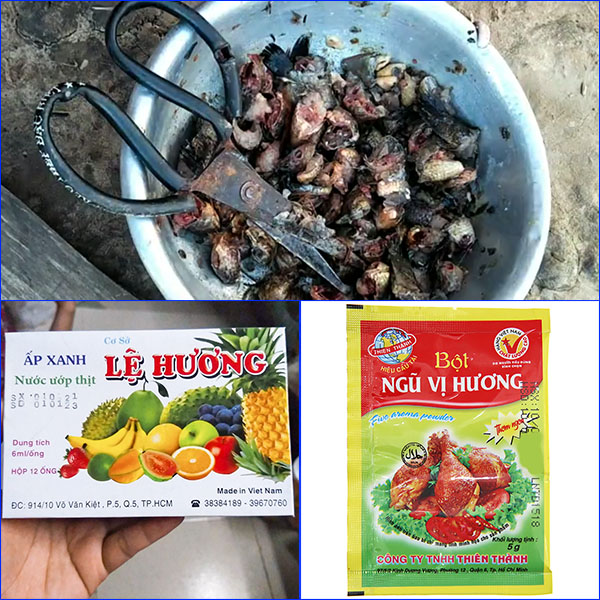 CÁCH LÀM MỒI CẮM CÂU ẾCH