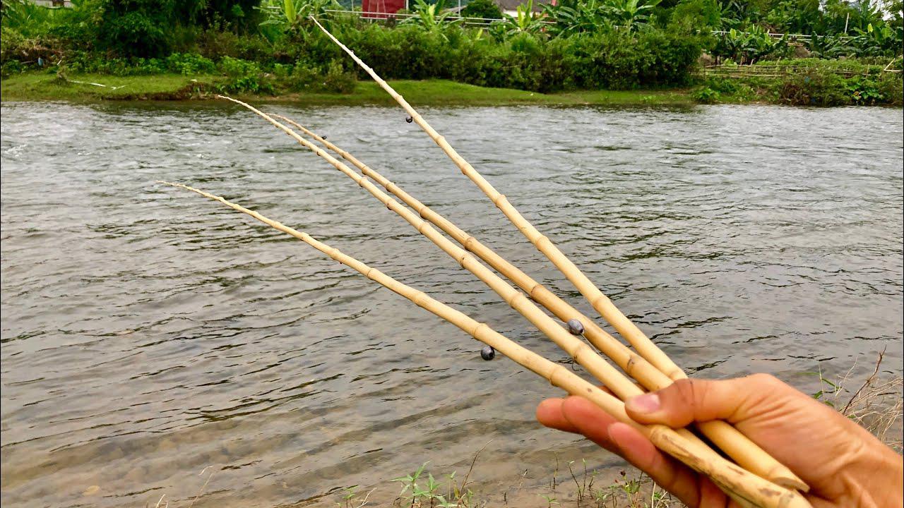 Cần Câu Cá Bằng Trúc