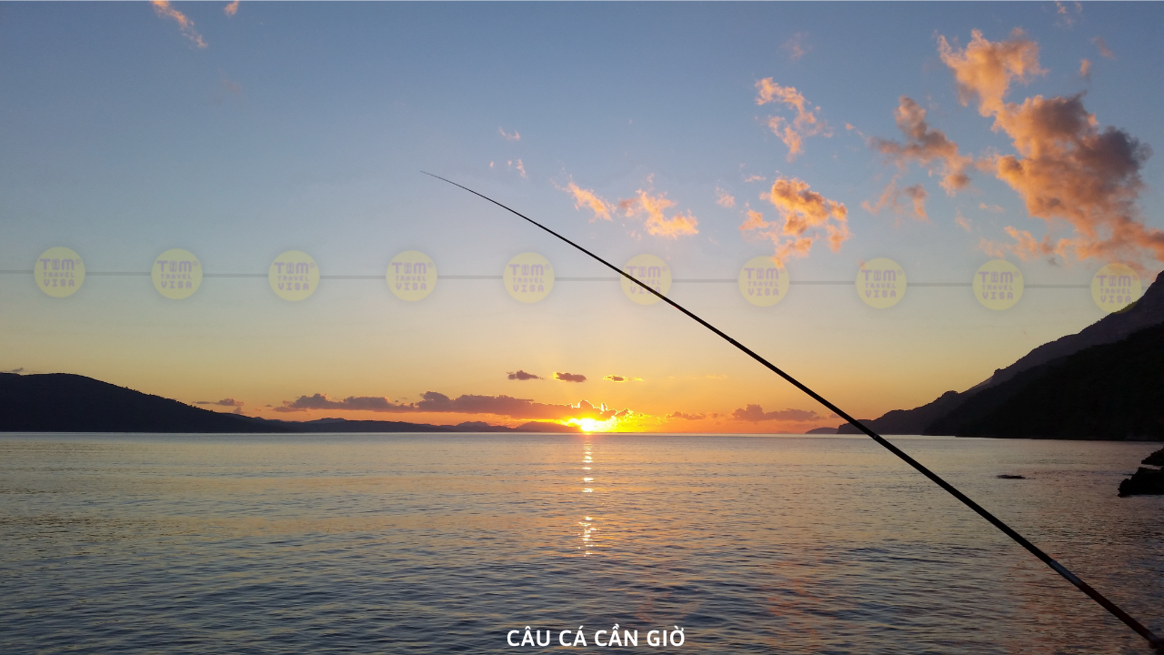 Câu Cá Cần Giờ