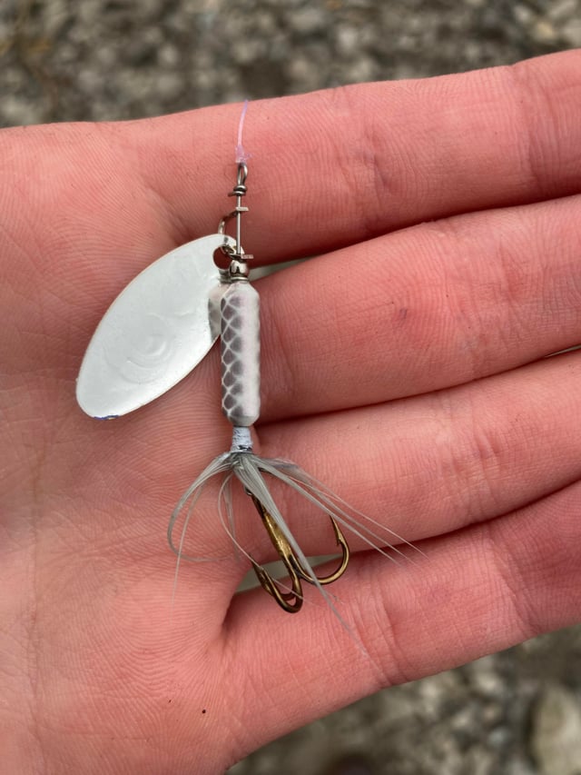 Mồi Câu Cá Trắng