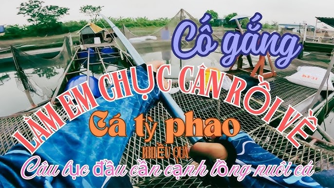 Cá Đè Phao Câu Lục
