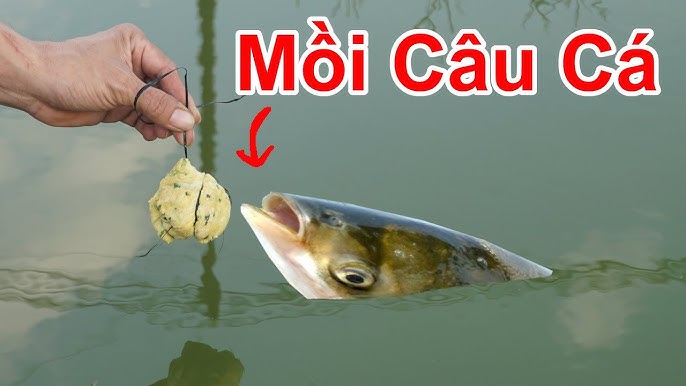 Mồi Câu Cá Mè Đơn Giản