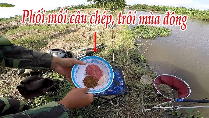 Mồi Câu Cá Trôi Mùa Đông