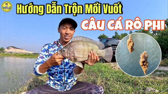 Cách Làm Mồi Vuốt Câu Cá Rô Phi
