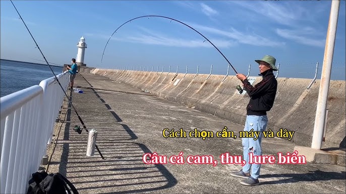 Cách Chọn Dây Câu Cá