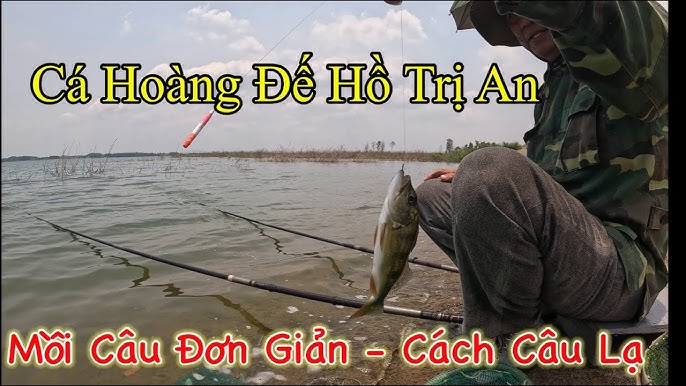 Mồi Câu Cá Hồ Trị An