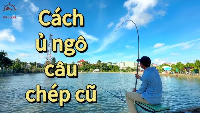 Cách Ủ Chua Mồi Câu Cá Chép