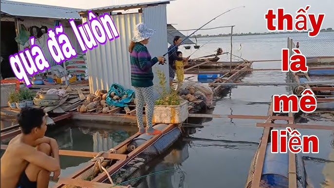 Câu Cá Mồi Dế