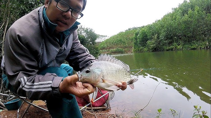 Mồi Câu Cá Mùa Đông