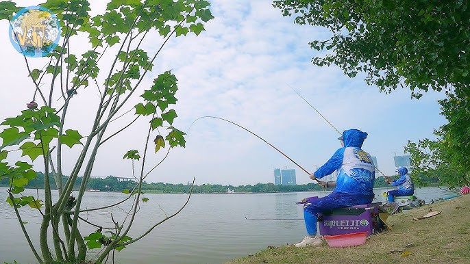 Mồi Câu Chép Mùa Đông