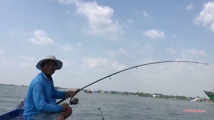 Mồi Câu Cá Vồ Đém