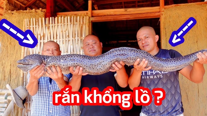Chế Biến Cá Chình