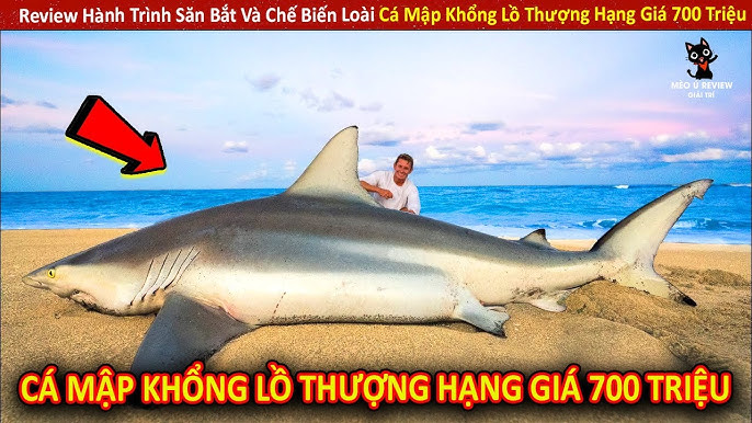 Chế Biến Cá Mập
