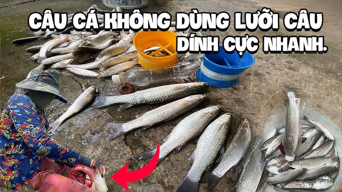 Cách Câu Cá Bằng Chai Nhựa