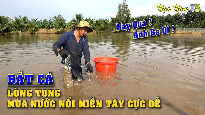 Cách Làm Lưỡi Câu Cá Lòng Tong Đơn Giản Mà Hiệu Quả