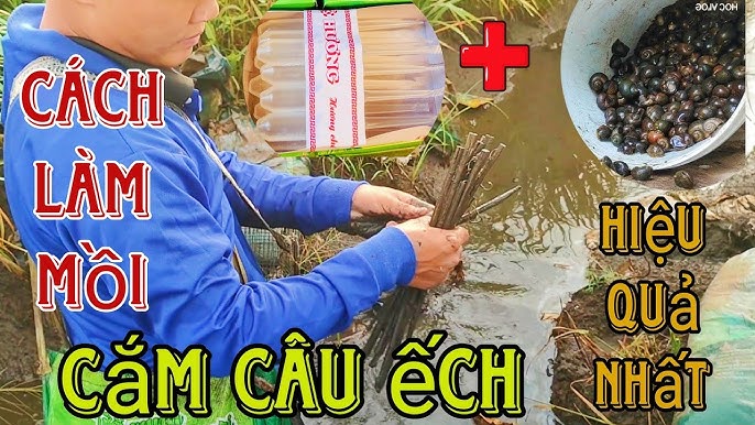 CÁCH LÀM MỒI CẮM CÂU ẾCH