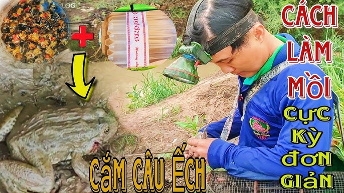 CÁCH LÀM MỒI CẮM CÂU ẾCH