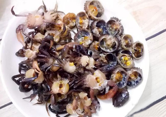 Cách Làm Mồi Câu Cá Trê Hiệu Quả