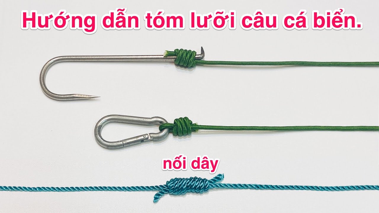 Hướng Dẫn Tóm Lưỡi Câu Cá