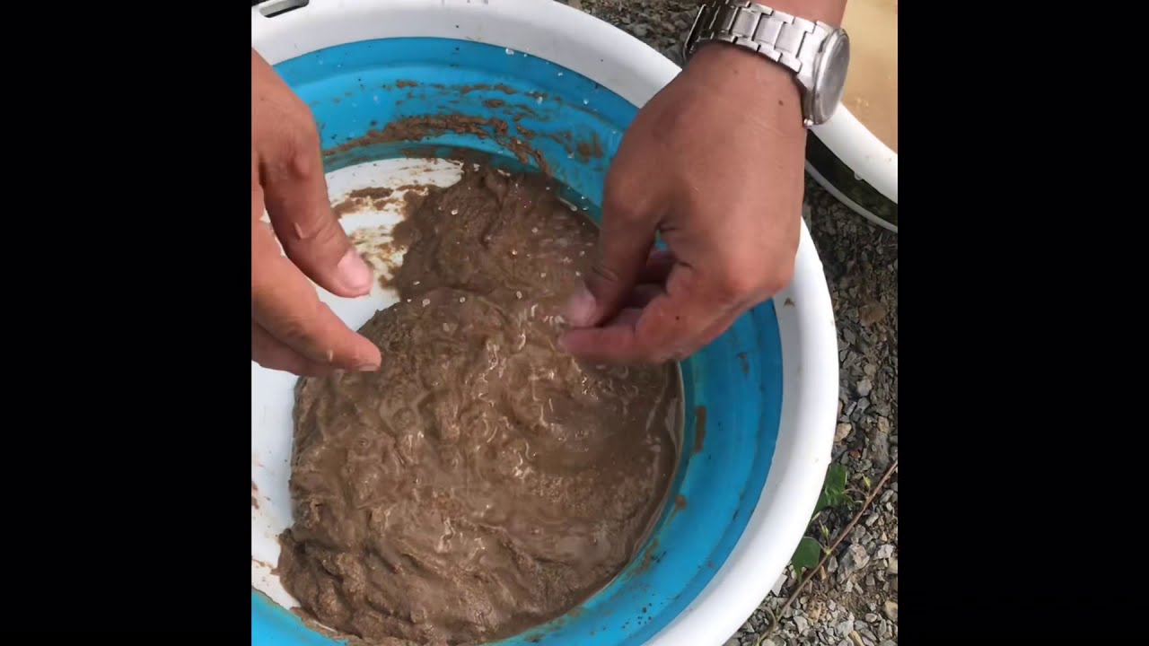 Cách Làm Mồi Vuốt Câu Cá Rô Phi