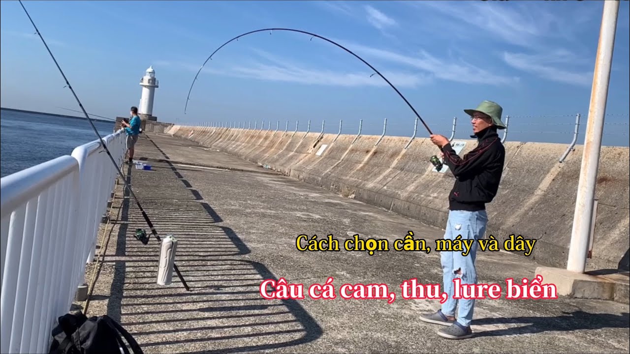 Cách Chọn Dây Câu Cá