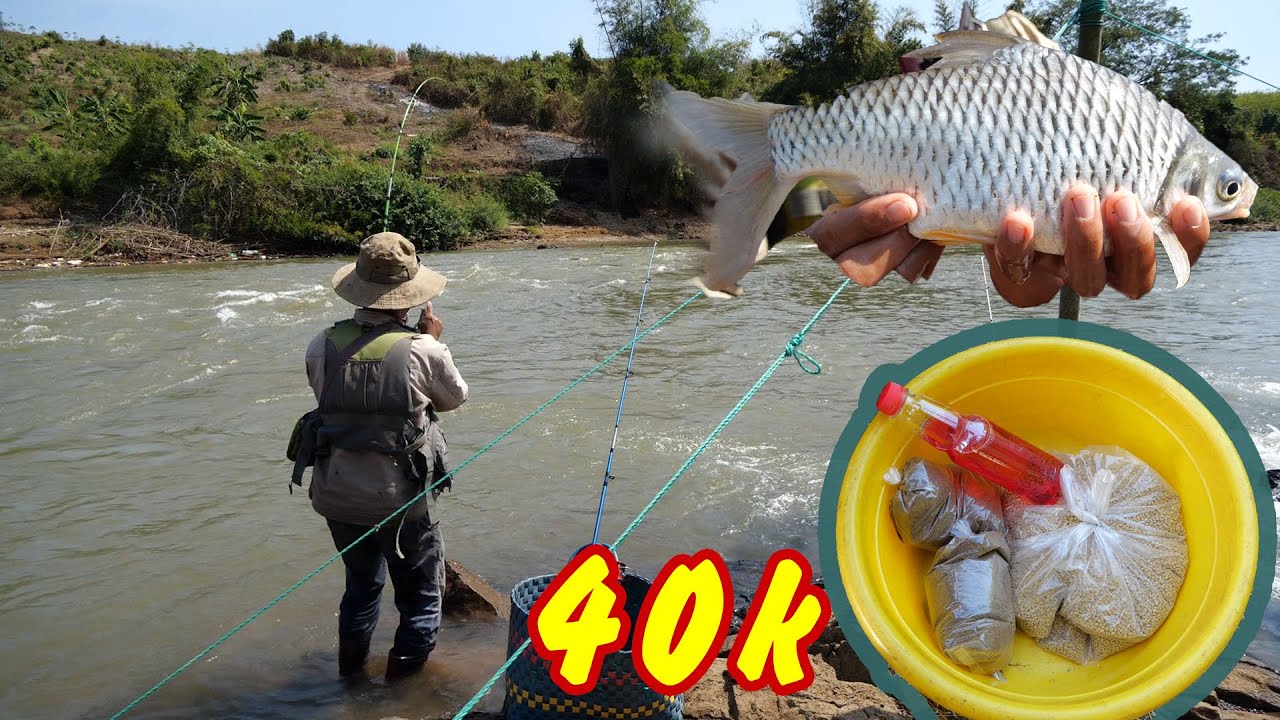 Cách Làm Mồi Câu Cá Sông Hiệu Quả