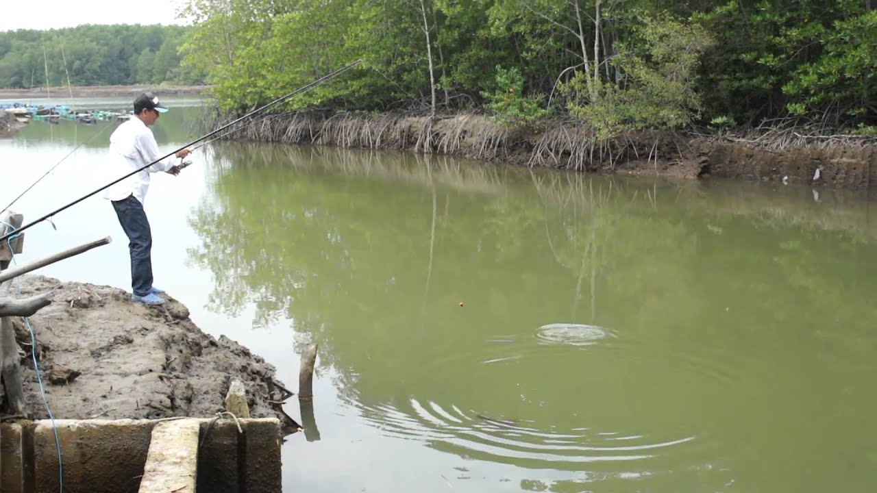 Câu Cá Cần Giờ