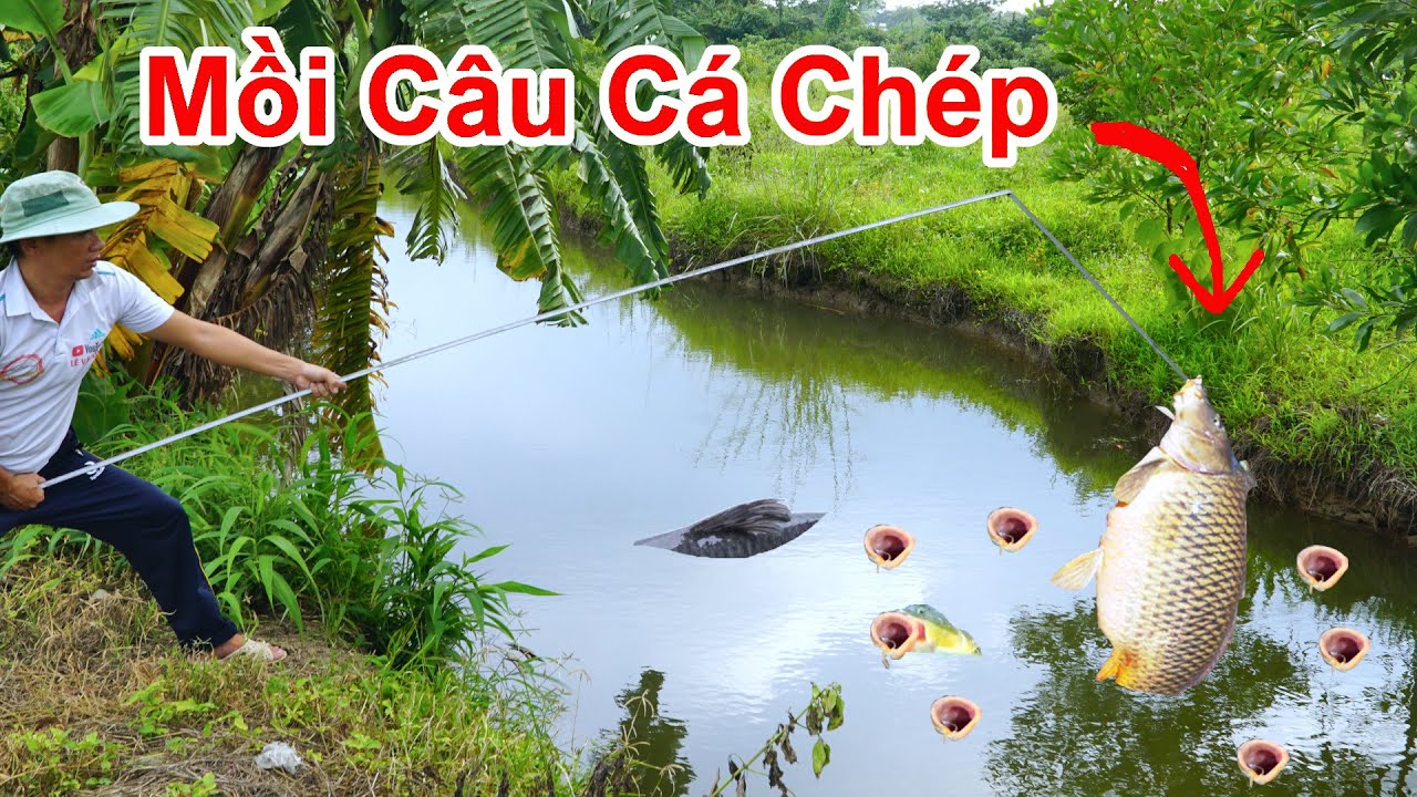 Mồi Câu Cá Chép Siêu Nhạy