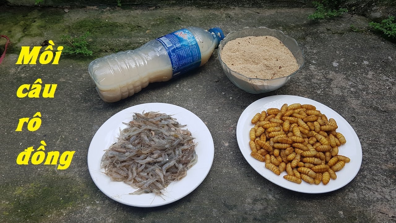 Mồi Câu Cá Rô Đồng