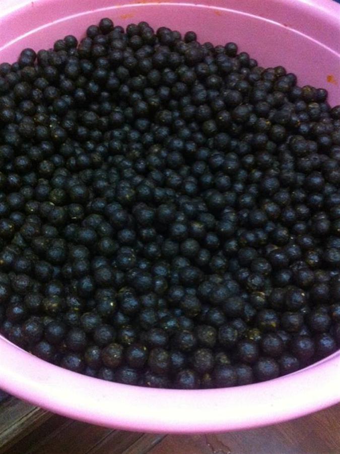 Các Vị Thuốc Bắc Làm Mồi Câu Cá Trắm Đen