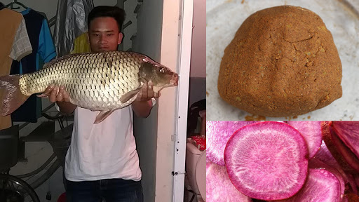 Mồi Câu Chép Mùa Đông