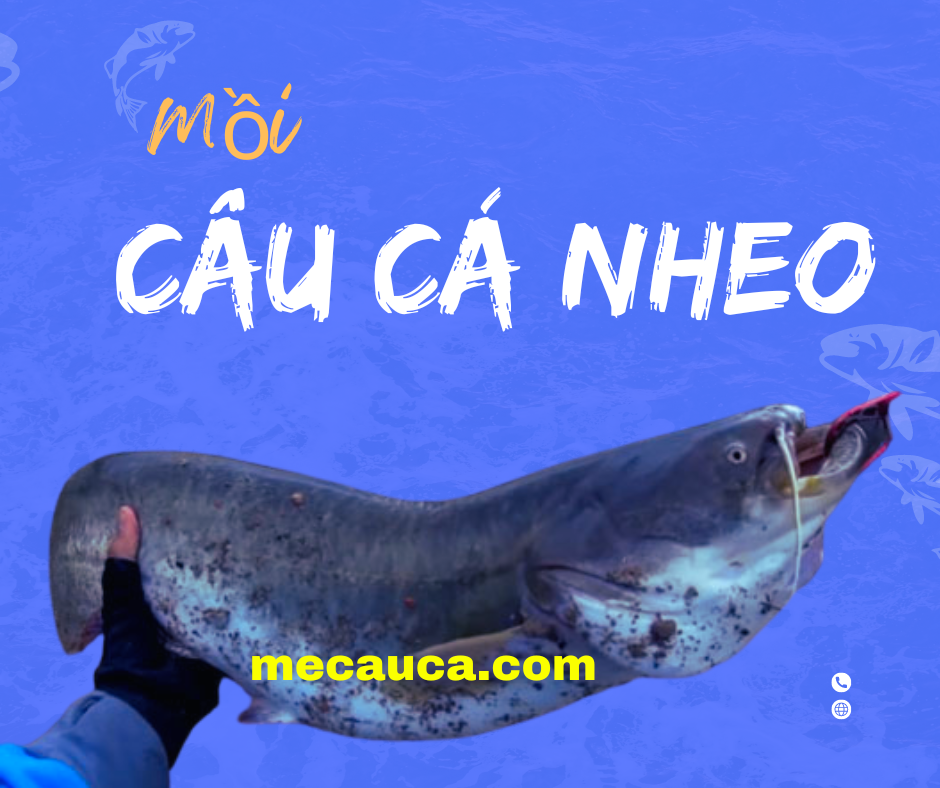 Mồi Câu Cá Nheo