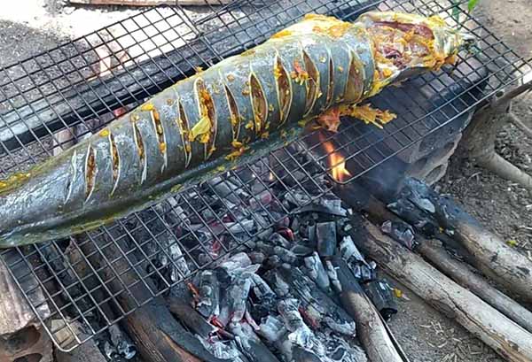 Cách Chế Biến Cá Trê Lai Nướng