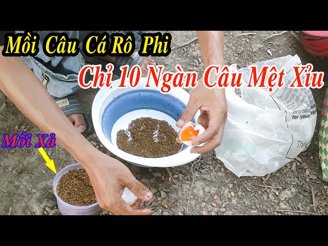 Mồi Câu Cá Rô Phi Đơn Giản