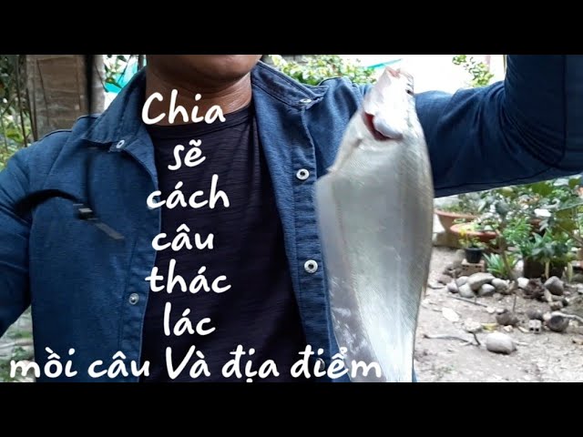 CÁCH LÀM MỒI CÂU CÁ THÁC LÁC CỰC NHẠY