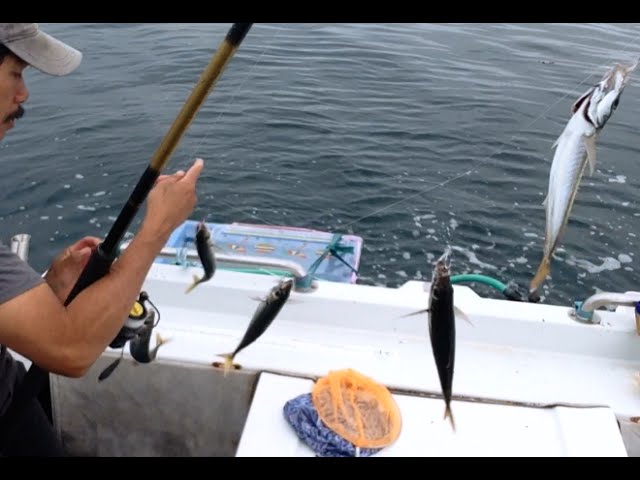 Lưỡi Câu Cá Ngừ Đại Dương