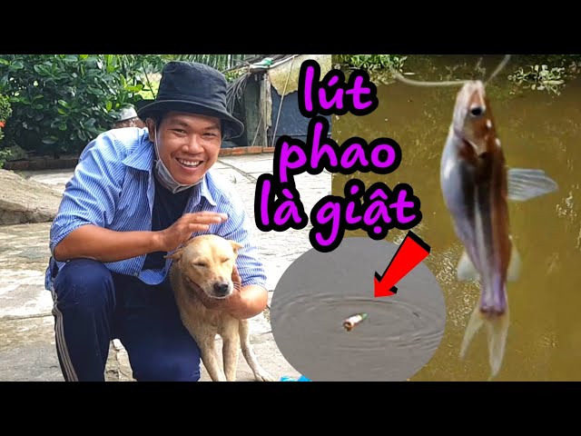 Mồi Câu Cá Bò Sông