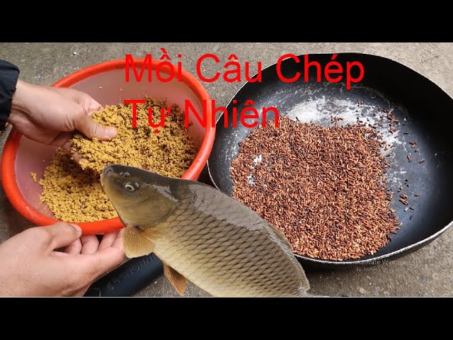 Mồi Câu Đài Cá Chép