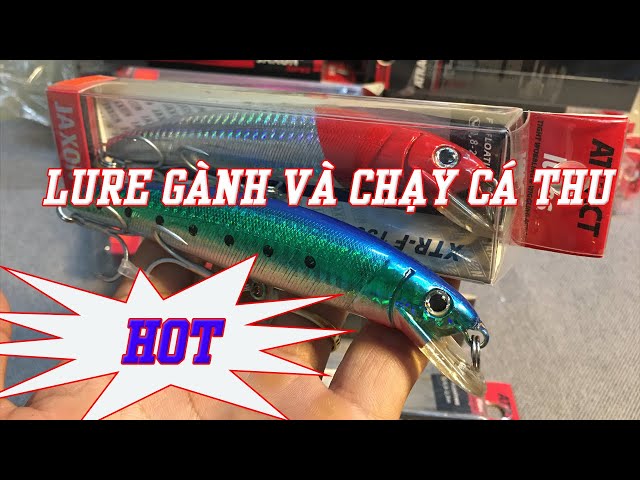 Mồi Câu Cá Thu