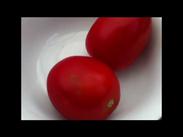 Mồi Câu Cá Trôi Đỏ