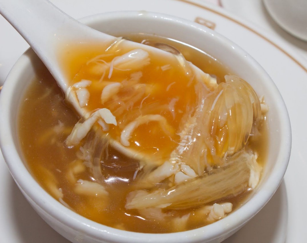 Chế Biến Cá Mập