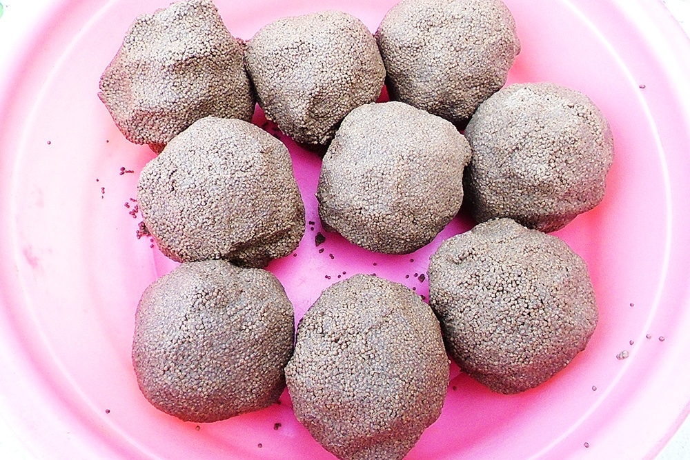 Chế Biến Thức Ăn Cho Cá